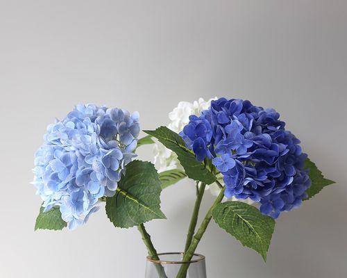 蓝色绣球花的寓意与象征意义（寻找心灵的宁静与平衡）