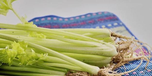 芹菜保存方法大全（从采摘到冷藏）