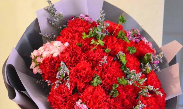 郁金香花语与不同颜色的意义（探索郁金香的花语）