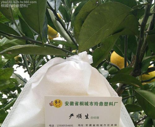 如何选择橙子套袋的最佳时期（掌握套袋时间）