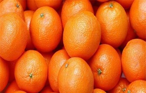 橙子到底是上火还是降火（一天吃多少最适宜）