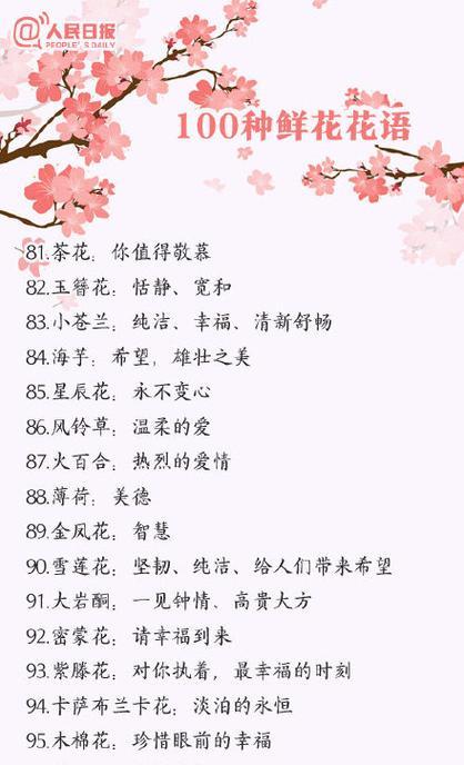 碗莲的花语与寓意（探寻碗莲花的意义与象征）