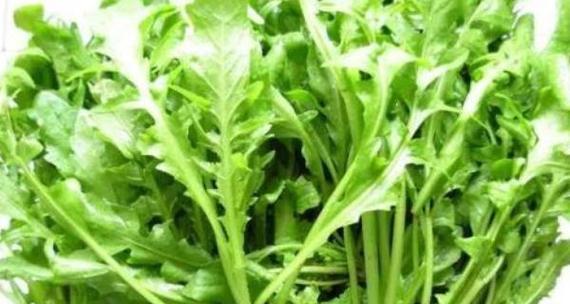 菱角菜的营养价值与保健作用（探寻菱角菜的神奇功效）