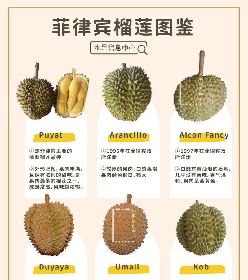 如何正确储存榴莲（储存榴莲的小技巧与注意事项）