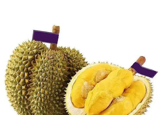 榴莲（探究榴莲的神秘魅力）