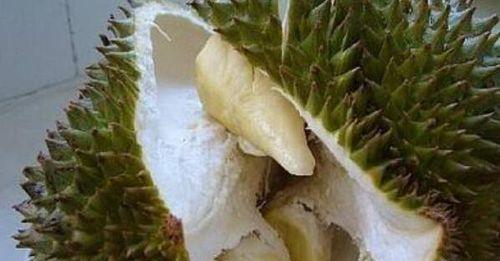 榴莲核的健康价值（探秘榴莲核的神奇功效及多种食用方法）