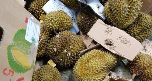 榴莲壳的妙用——肥料利用（减少垃圾污染）