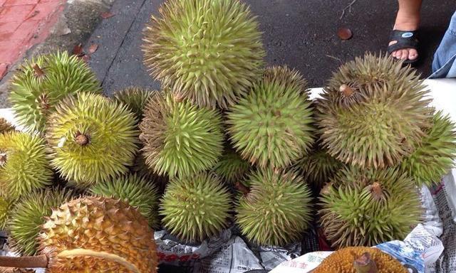 探寻榴莲的口感奥秘（究竟榴莲是什么味道）