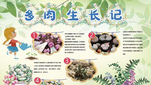 肉苁蓉的生长周期到底有多长时间（探究肉苁蓉从种子到成熟所需的时间）