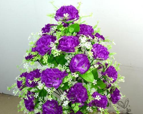 紫色康乃馨花语（表达深情的花朵）