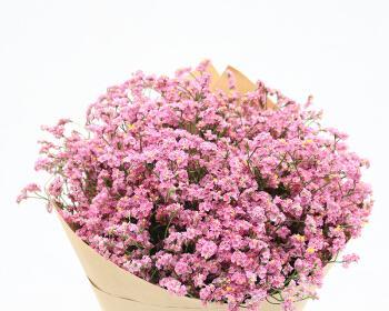 花开花谢，浪漫花语的情感之旅（探寻花语背后的浪漫密码）