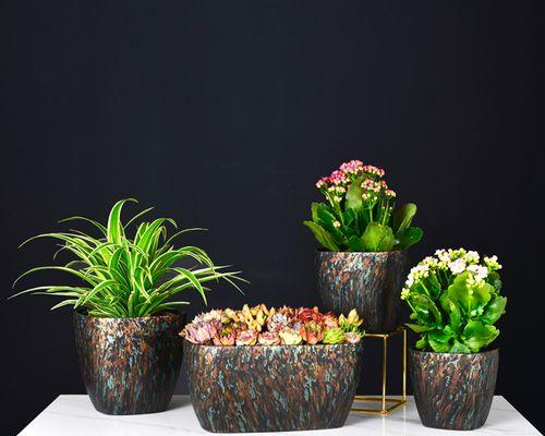 高大花盆的花草种植指南（从大小、材质到种植需求）