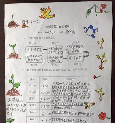 高粱的种植与管理（时间）