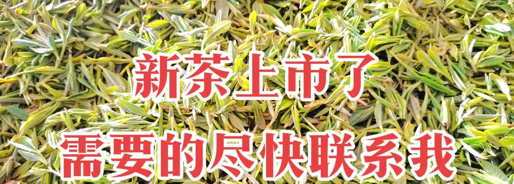 高山云雾茶，一种令人神往的绿茶（品味高山云雾茶的醇香滋味）