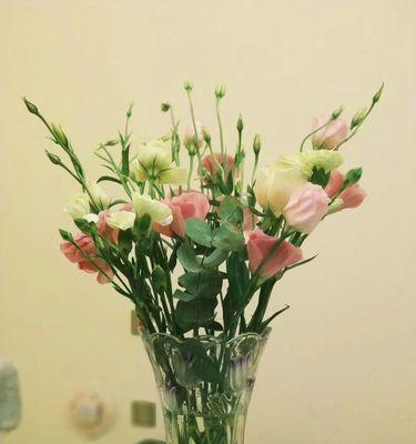 竹子的人生寓意（竹子象征的精神品质和意义）