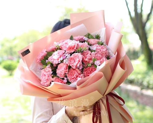 康乃馨的花语及其象征意义（揭开康乃馨背后的秘密）