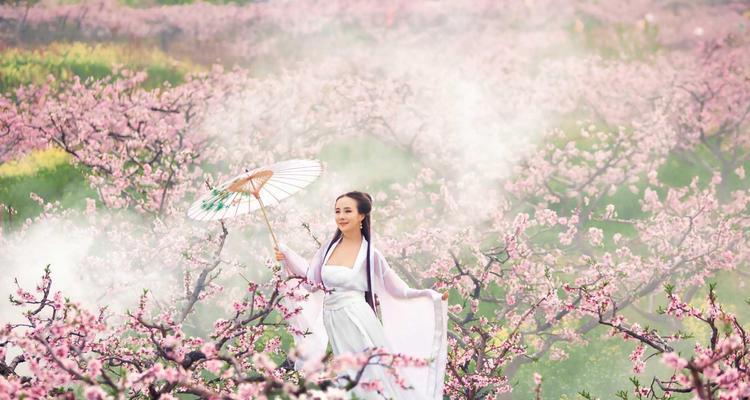 桃花的寓意与象征在古代的重要性（探寻桃花在中国文化中的象征意义）