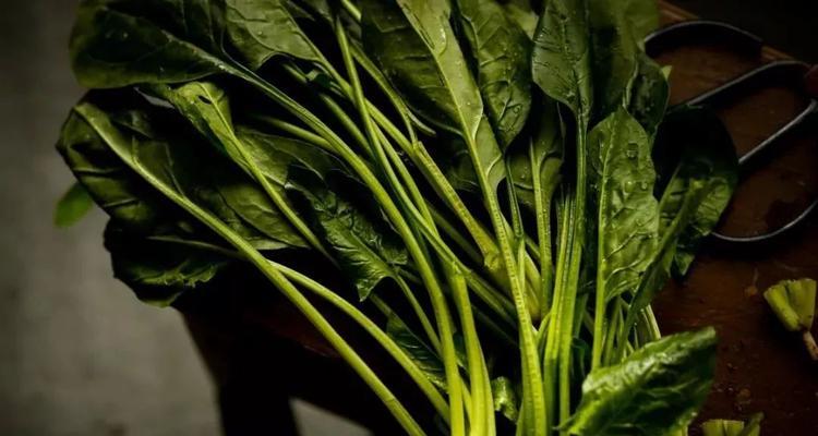 蔬菜也可以冷冻保存（教你正确选择和储存蔬菜）
