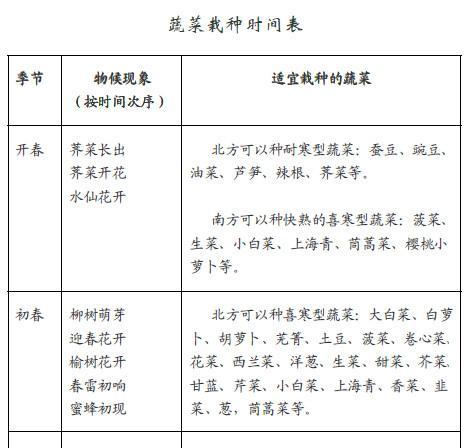 蔬菜套种技术——如何选好套种作物品种