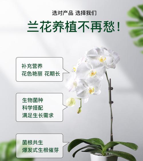 水草营养液的正确使用方法（多久加一次合适）