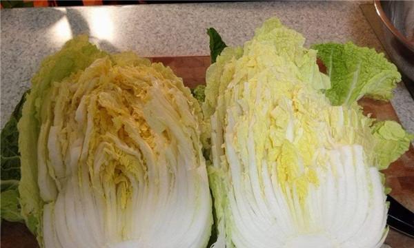 大白菜可以生吃吗（生吃大白菜的营养价值与注意事项）