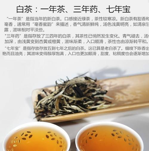 白茶花花语与寓意（探秘白茶花背后的深意）