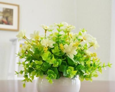 白瓷花盆适合种植的花卉（以简约之美装扮家居）