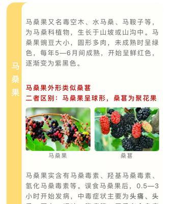 绿萝炭疽病是怎么引起的？有效治疗方法有哪些？