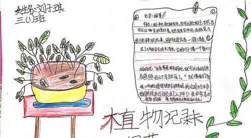绿萝柱浇水方法是什么？多久浇一次水合适？