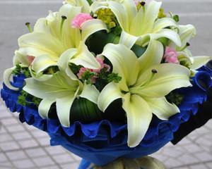 黄天霸百合花的花语有哪些含义？
