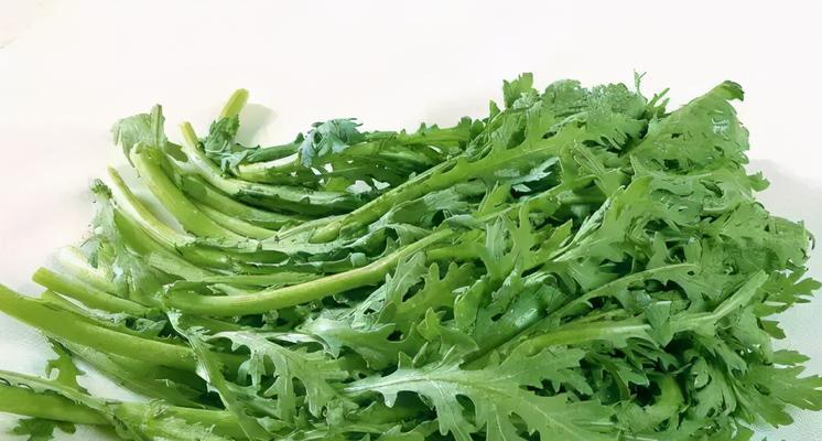 绿叶菜放进冰箱会怎样？正确保存方法是什么？