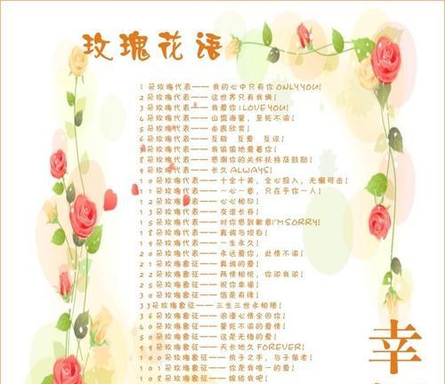 火花兰花语的含义有哪些常见疑问解答？