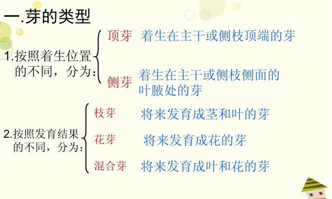 绿藻球繁殖方法是什么？最佳繁殖时间是什么时候？