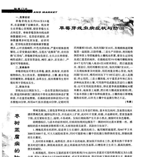 萝卜病虫害防治技术有哪些？防治方法措施如何实施？
