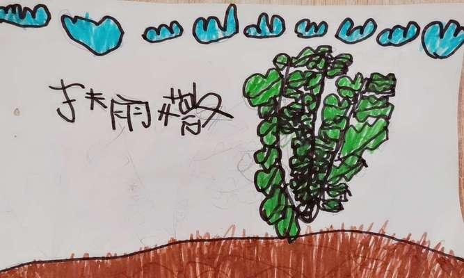 萝卜的生长习性和环境条件是什么？如何优化萝卜的生长环境？