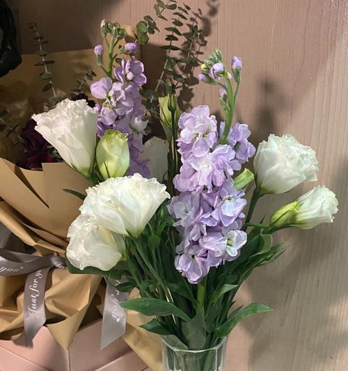 桔梗花的花语是什么意思？如何理解桔梗花的象征意义？