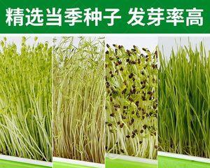 萝卜种子应该种植多深？种植深度对生长有什么影响？