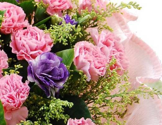 康乃馨白色花语是什么？白色康乃馨代表了哪些情感？