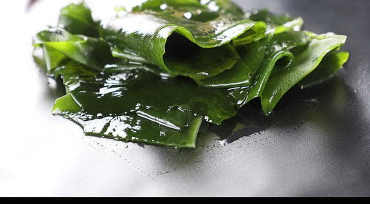 螺旋藻和裙带菜是同一种东西吗？常见疑问解答