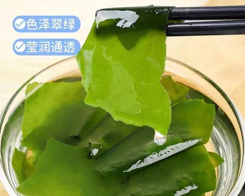 螺旋藻和裙带菜是同一种东西吗？常见疑问解答