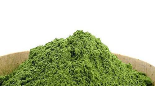 螺旋藻是什么植物？它有哪些健康益处？