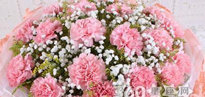 康乃馨的花语有哪些含义？不同颜色的康乃馨代表什么？