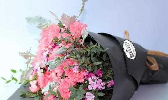 康乃馨的寓意是什么意思？不同颜色的康乃馨代表什么？