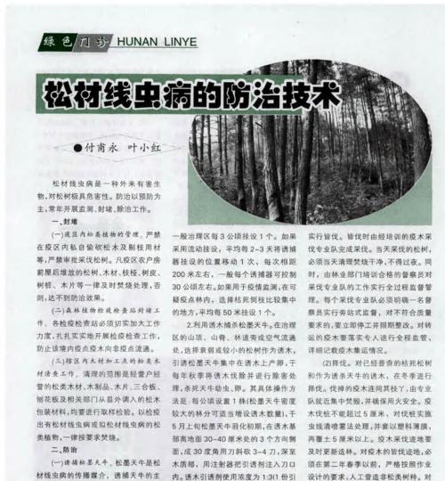 罗汉松病虫害防治技术与方法是什么？如何有效预防和处理？