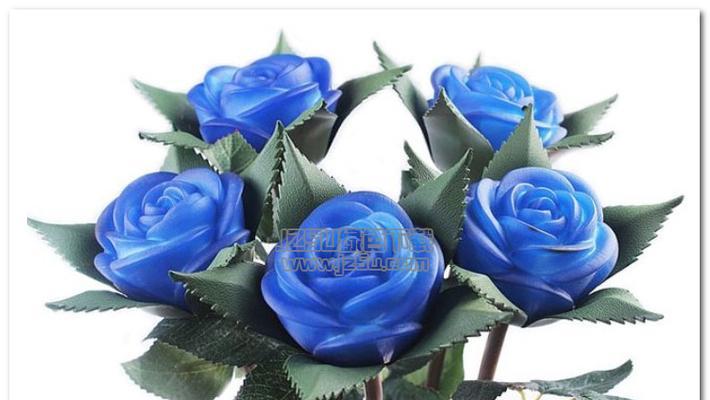 蓝玫瑰花代表什么意思？蓝色玫瑰的花语有哪些含义？