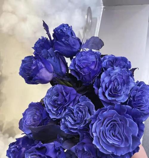 蓝玫瑰花语是什么？蓝色玫瑰代表的含义有哪些？