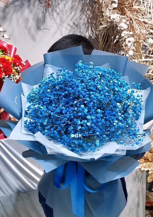 蓝色满天星代表什么？花语含义有哪些？