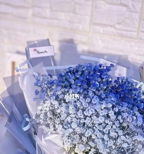 蓝色满天星的象征意义是什么？它的花语有哪些含义？