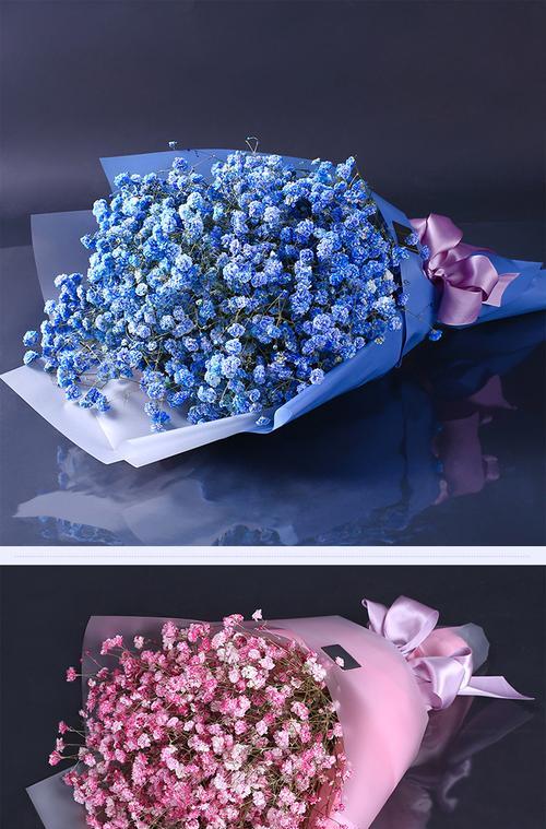 蓝色满天星的象征意义是什么？它的花语有哪些含义？