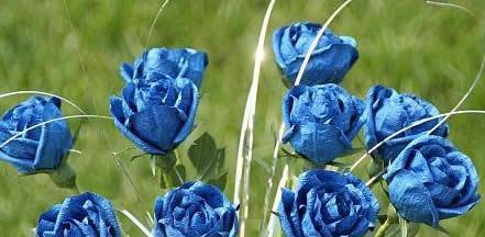 蓝色玫瑰花代表什么？花语含义有哪些？
